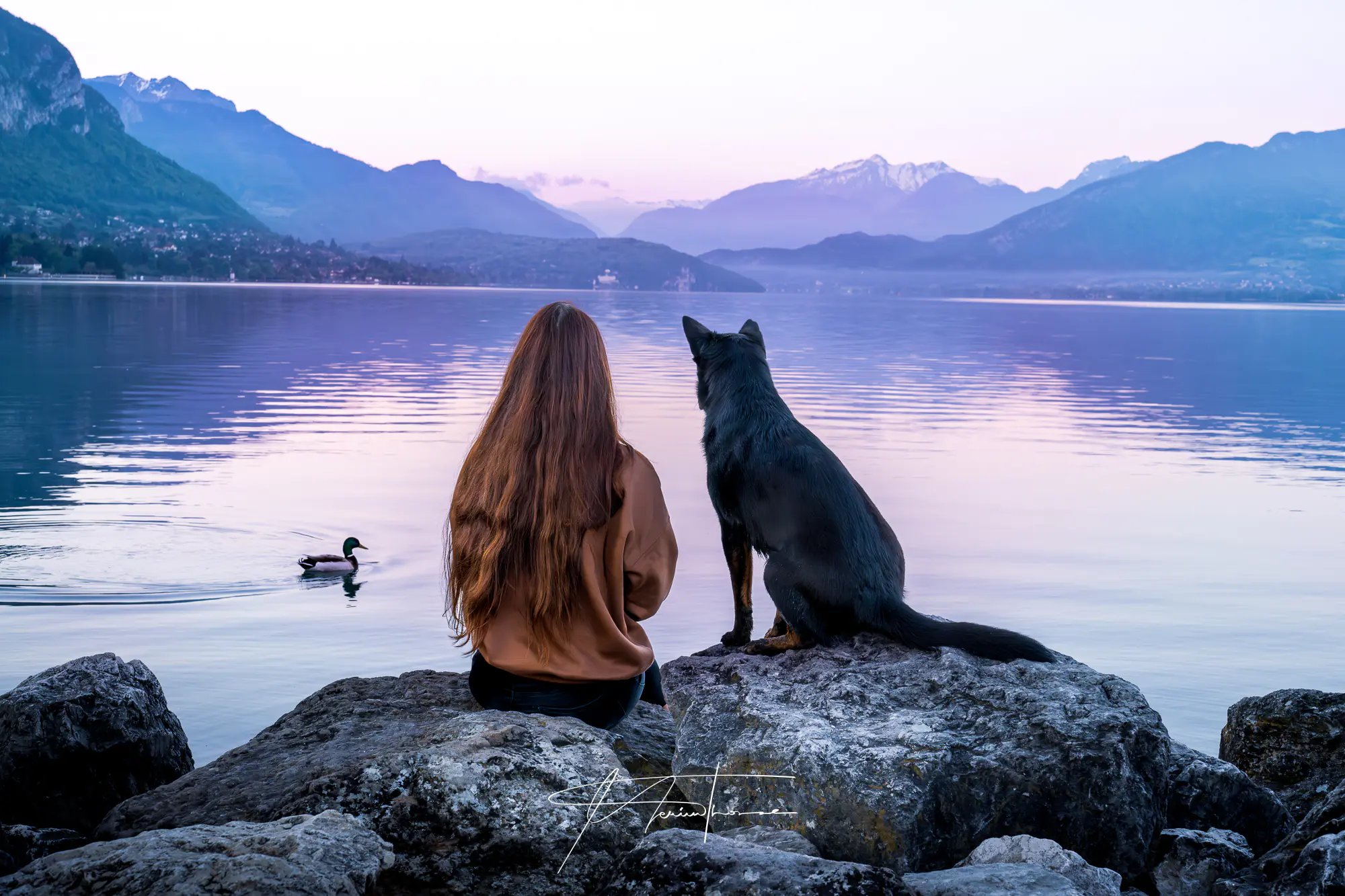 pose entre un maître et son rottweiler