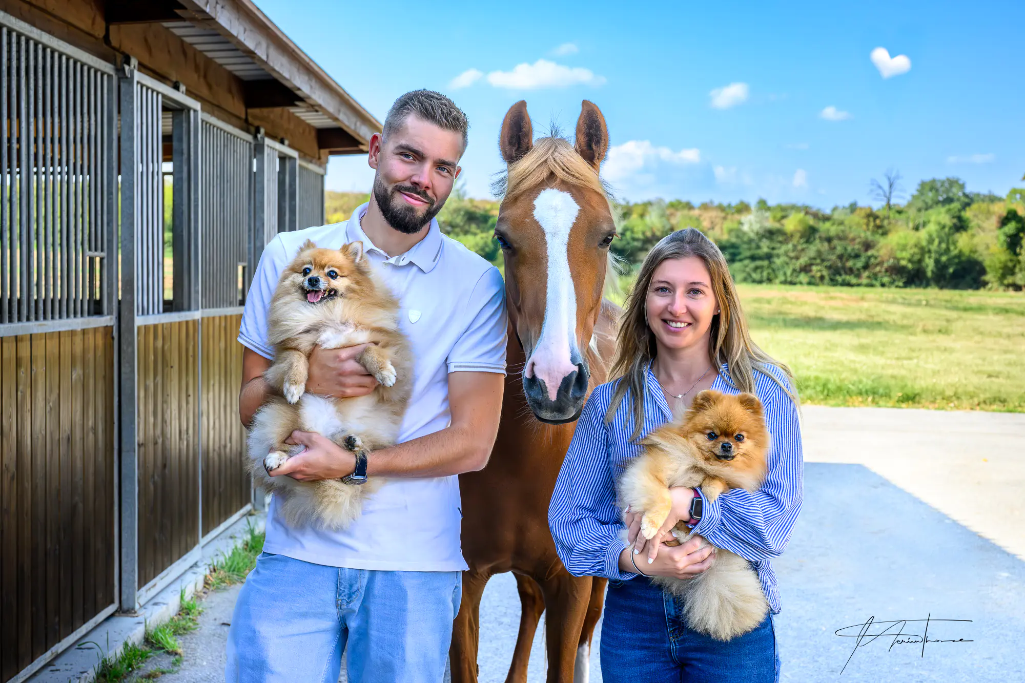 photo de famille chiens, jument, humains