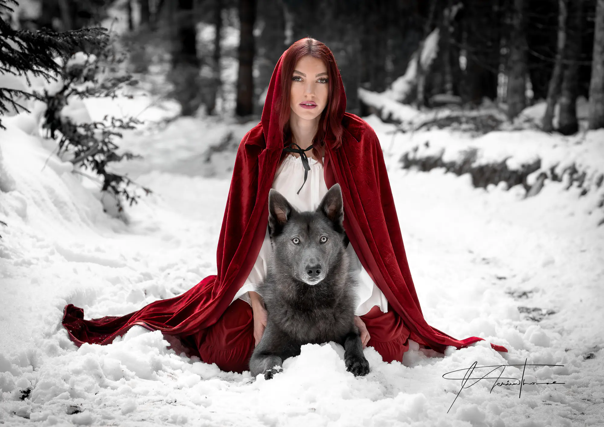 chien loup et le petit chaperon rouge