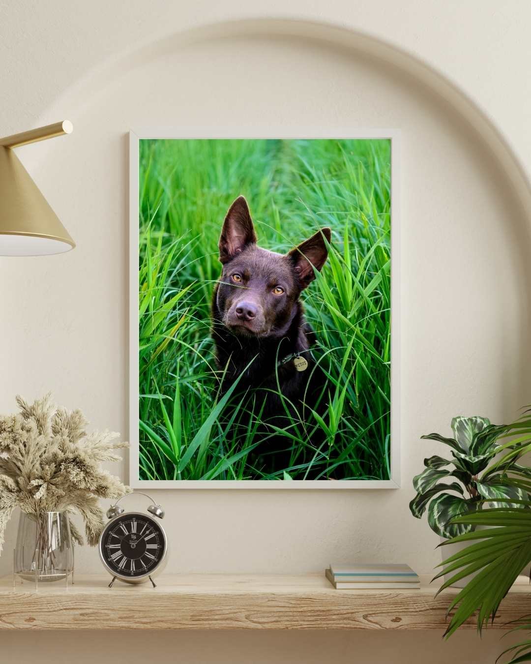 un tirage photo mural avec un lion