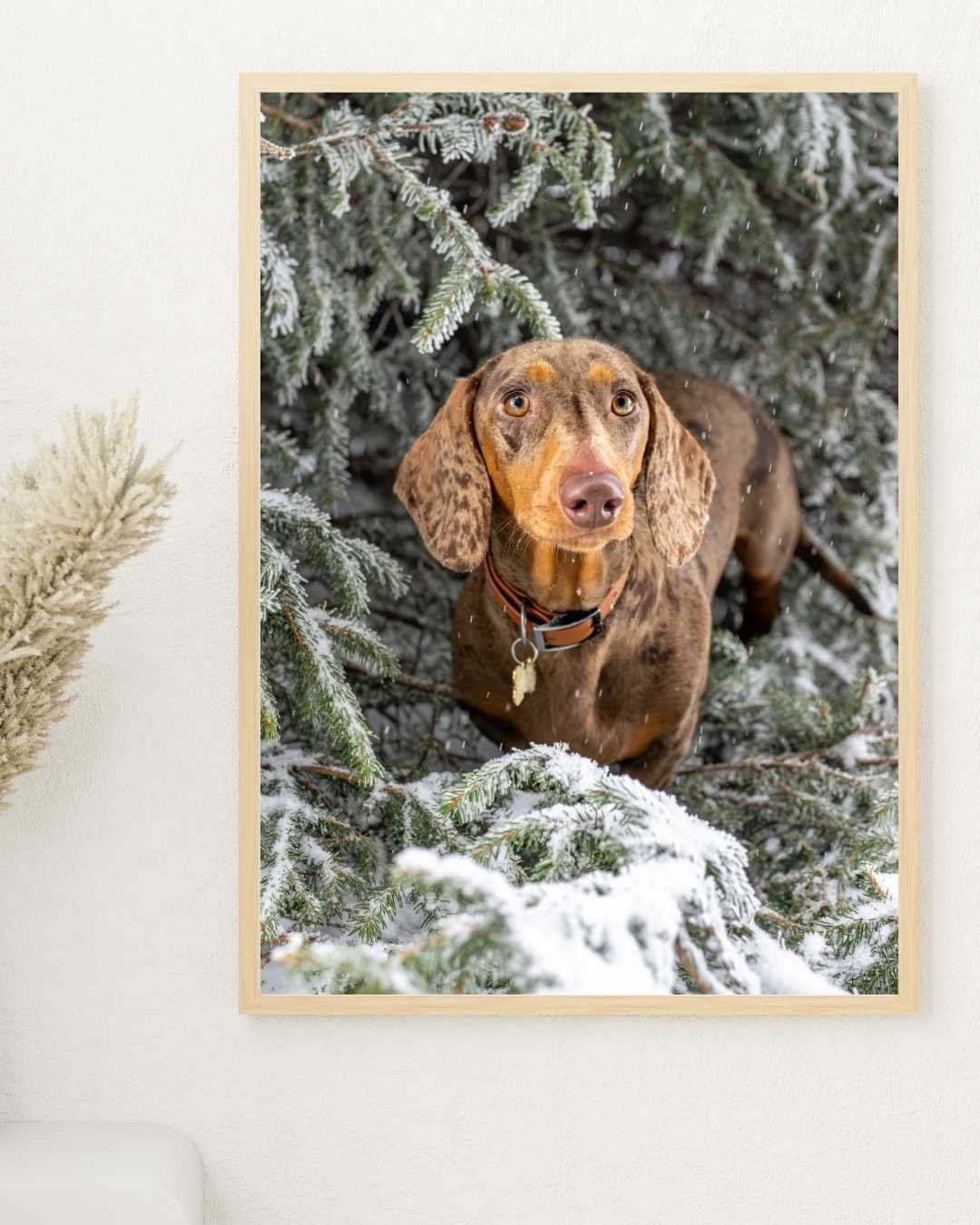 un tirage mural avec un écureuil